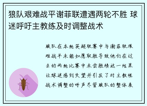 狼队艰难战平谢菲联遭遇两轮不胜 球迷呼吁主教练及时调整战术