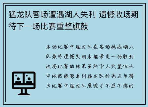 猛龙队客场遭遇湖人失利 遗憾收场期待下一场比赛重整旗鼓